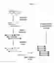 Fig. 07 - Analysis of methylation using nucleic acid arrays