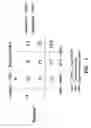 Fig. 06 - Assay systems, kits and methods for detecting microorganisms