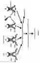Fig. 04 - NOD nucleic acids and polypeptides