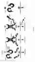 Fig. 06 - NOD nucleic acids and polypeptides