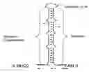 Fig. 01 - Key probe compositions and methods for polynucleotide detection