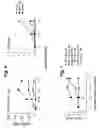 Fig. 07 - Nucleic acid encoding dendritic cell co-stimulatory molecules