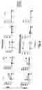 Fig. 08 - Nucleic acid encoding dendritic cell co-stimulatory molecules