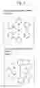 Fig. 03 - Electrochemiluminescence detection method for nucleic acid using intercalator