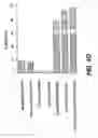 Fig. 12 - Cloning, sequencing and expression of a gene encoding an eukaryotic amino acid racemase, and diagnostic, therapeutic, and vaccination applications of parasite and viral mitogens