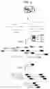 Fig. 04 - Methods for genotyping with selective adaptor ligation