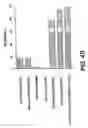 Fig. 12 - Cloning, sequencing and expression of a gene encoding an eukaryotic amino acid racemase, and diagnostic, therapeutic, and vaccination applications of parasite and viral mitogens
