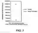 Fig. 17 - Cloning, sequencing and expression of a gene encoding an eukaryotic amino acid racemase, and diagnostic, therapeutic, and vaccination applications of parasite and viral mitogens