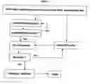 Fig. 02 - Rapid genotyping analysis and the device thereof