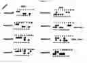 Fig. 05 - Rapid genotyping analysis and the device thereof
