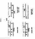 Fig. 06 - Rapid genotyping analysis and the device thereof