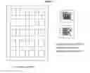 Fig. 10 - Rapid genotyping analysis and the device thereof