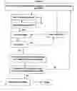 Fig. 12 - Rapid genotyping analysis and the device thereof