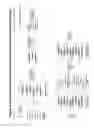 Fig. 05 - Method for selecting a chemical entity from a tagged library