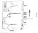 Fig. 03 - Compositions and methods for spinocerebellar ataxia