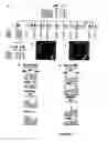 Fig. 05 - Compositions and methods for spinocerebellar ataxia