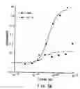Fig. 06 - Identification of 5HT2A receptor ligands by selective amplification of cells transfected with receptors