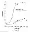 Fig. 22 - Identification of 5HT2A receptor ligands by selective amplification of cells transfected with receptors