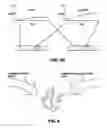 Fig. 06 - Comparative genomic hybridization