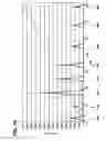 Fig. 46 - Interferon-beta gene therapy using an improved, regulated expression system