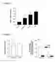 Fig. 06 - METHODS AND COMPOUNDS FOR PREVENTION AND TREATMENT OF ELEVATED INTRAOCULAR PRESSURE AND RELATED CONDITIONS
