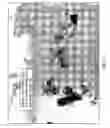 Fig. 02 - Compositions and methods for detecting single gene copies in-situ
