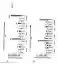 Fig. 06 - Single molecule miRNA-based disease diagnostic methods