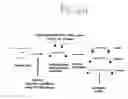Fig. 07 - Single molecule miRNA-based disease diagnostic methods