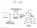 Fig. 08 - Single molecule miRNA-based disease diagnostic methods