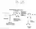 Fig. 09 - Single molecule miRNA-based disease diagnostic methods