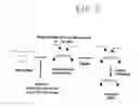 Fig. 12 - Single molecule miRNA-based disease diagnostic methods