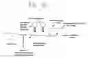 Fig. 16 - Single molecule miRNA-based disease diagnostic methods