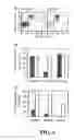 Fig. 07 - Antigen-presenting cell populations and their use as reagents for enhancing or reducing immune tolerance