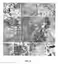 Fig. 09 - Antigen-presenting cell populations and their use as reagents for enhancing or reducing immune tolerance