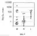 Fig. 10 - Antigen-presenting cell populations and their use as reagents for enhancing or reducing immune tolerance