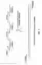 Fig. 02 - Randomized libraries of zinc finger proteins
