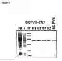 Fig. 02 - Chimeric polypeptides and their use