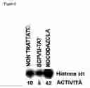 Fig. 07 - Chimeric polypeptides and their use