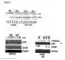 Fig. 08 - Chimeric polypeptides and their use