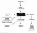 Fig. 01 - Method for modulating process mediated by farnesoid activated receptors