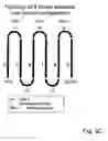 Fig. 05 - Structure for presenting desired peptide sequences