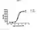 Fig. 09 - Splice variant of the vanilloid receptor VR1A