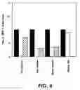 Fig. 06 - Immunoassay of phosphorylated proteins
