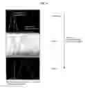 Fig. 11 - Reflex supplemental testing - A rapid, efficient and highly accurate method to identify subjects with an infection, disease or other condition