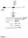 Fig. 02 - Method of screening for inhibitors of osteopontin