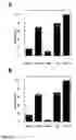 Fig. 03 - Method of screening for inhibitors of osteopontin
