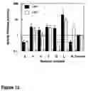 Fig. 13 - Method of screening for inhibitors of osteopontin