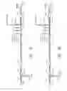 Fig. 10 - Spectroscopic analysis of a biological fluid reacted with an enzyme