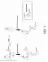 Fig. 04 - Substrate detection assay