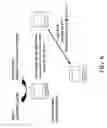 Fig. 07 - Substrate detection assay